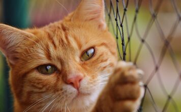 Ile za godzinę netto w 2023?