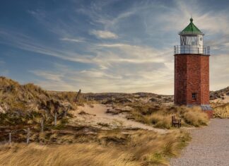 Ile na rękę w Niemczech?