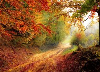 Kiedy jest pora deszczowa w Azji?