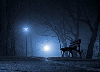 Jaki kraj jest 23 razy mniejszy od Polski?