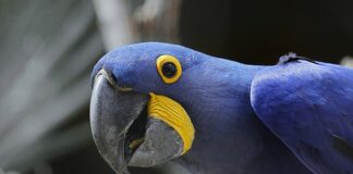 Jak nazywa się największa wyspa w Azji?