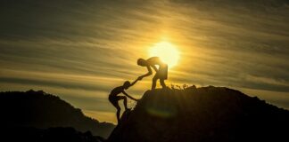 Czym się różni zezwolenie na pracę sezonową od zezwolenia na pracę typu A wojewódzkiego i oświadczenia?