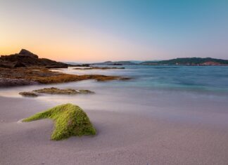 Ile na godzinę netto 2023 do 26 roku życia?