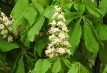 Jakie wyniki z matury na informatykę?