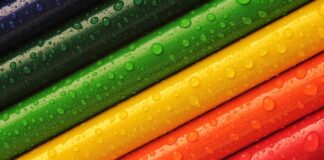 Czy polecacie Rainbow?