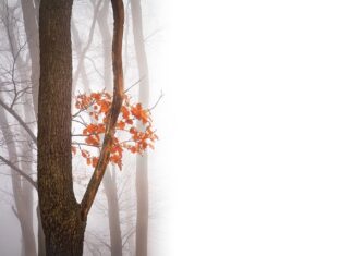 Jakie są negatywne skutki rozwoju turystyki?