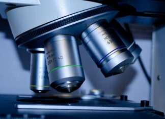 Jakie studia do pracy w biurze?