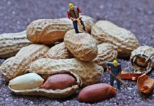 Gdzie ludzie pracują?