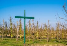 Czy regulamin pracy zdalnej jest obowiązkowy 2023?