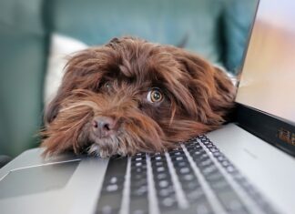 Jakie są ograniczenia czasu pracy rodziców dzieci do lat 8?